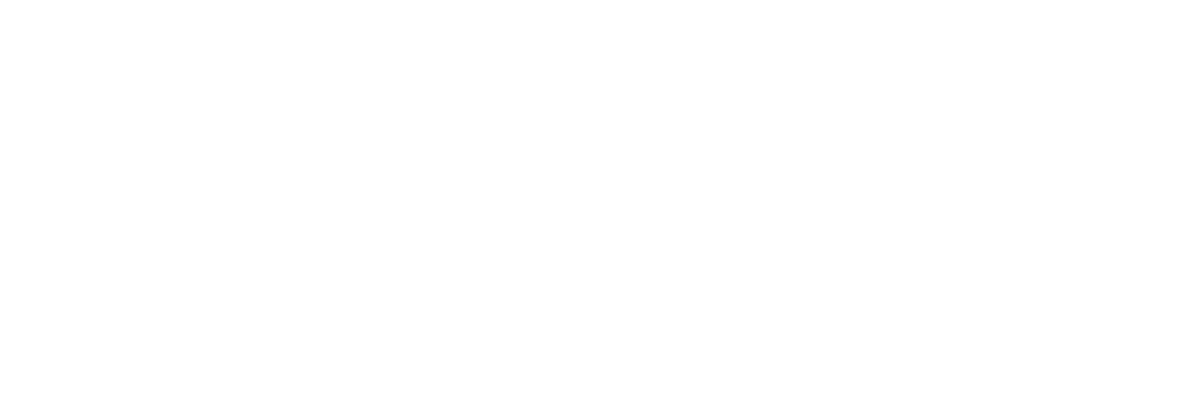 AADOTT Consulting